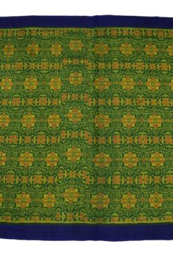 Green Plane Border Colour Sambalpuri Handloom Cotton Saree