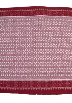 White Colour Plane Border Sambalpuri Handloom Cotton Saree
